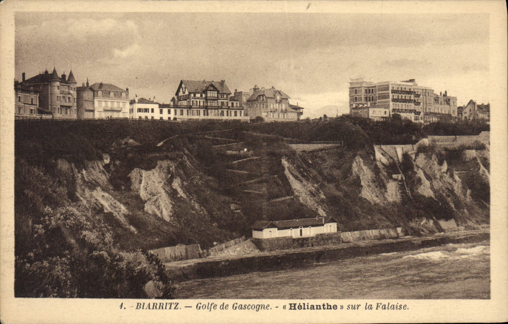 CPA Biarritz Golfe De Gascogme Helianthe sur la falaise
