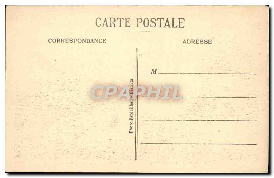 CPA Biarritz Golfe De Gascogme Helianthe sur la falaise — Verso