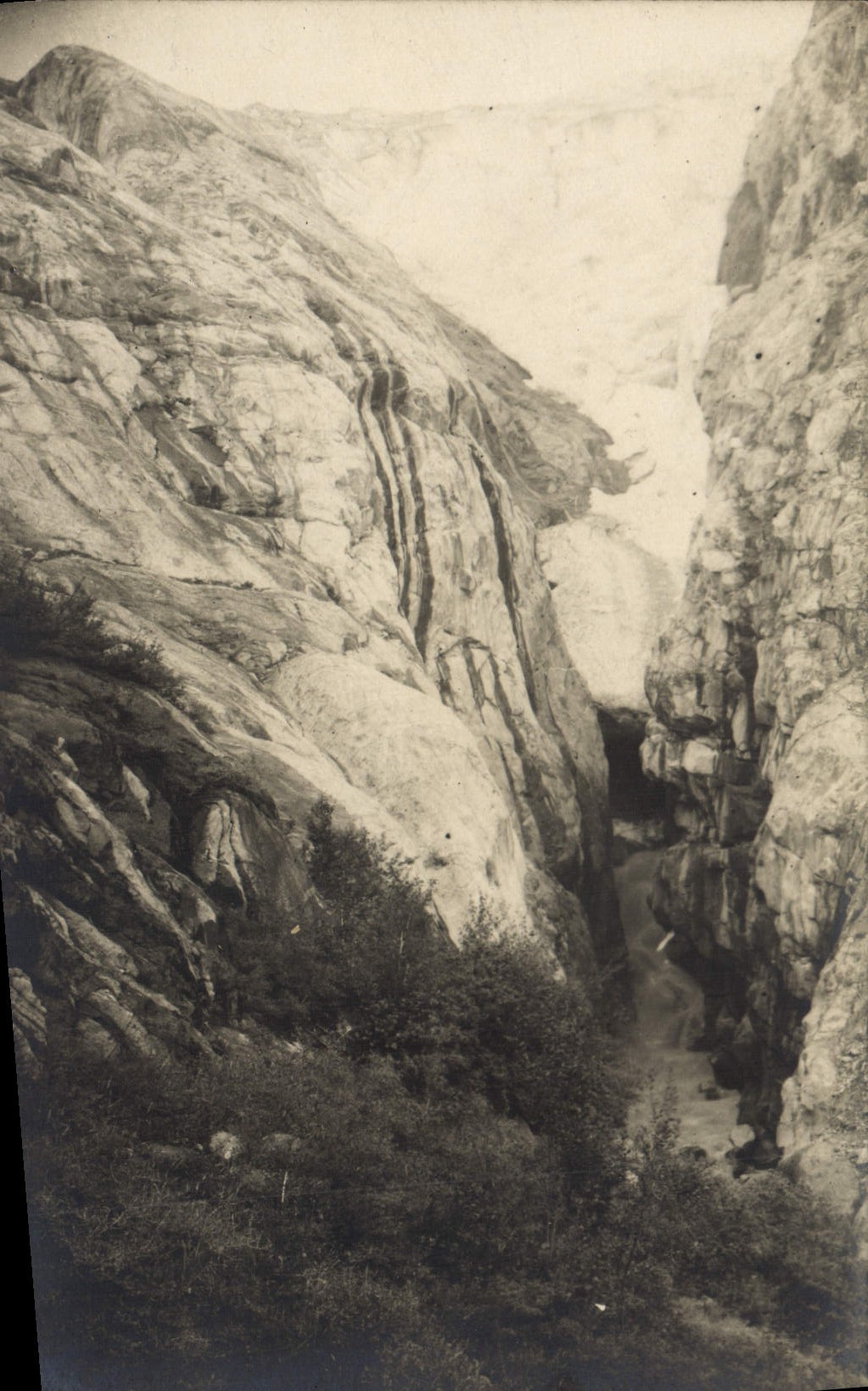 Chamonix — Vue du glacier de Mont-Blanc — Carte postale CPHAPHIL