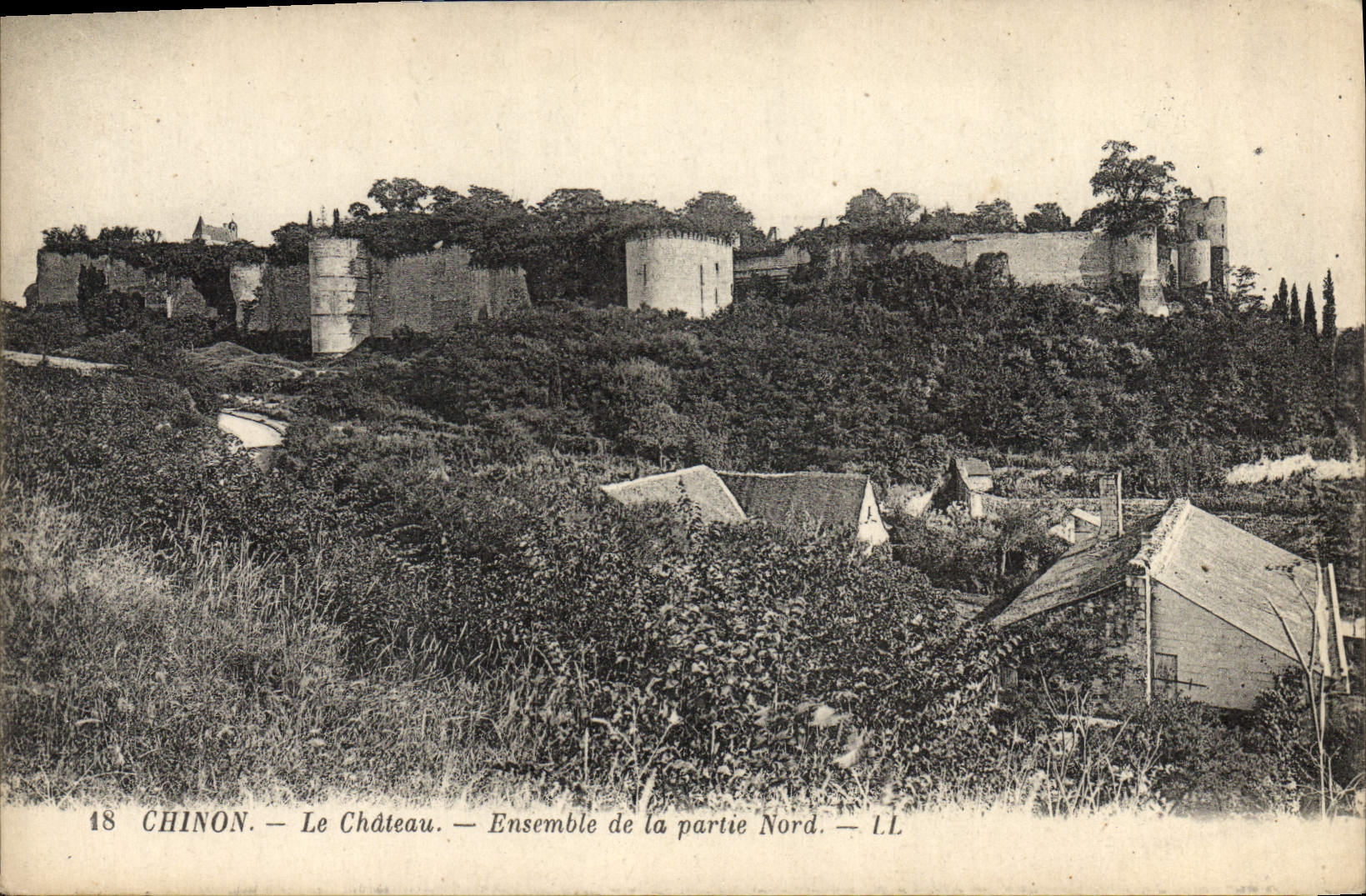 CPA Chinon Le Chateau Ensemble De La Partie Nord