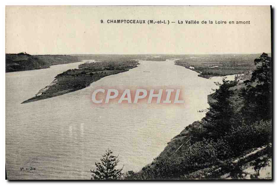 CPA Champtoceaux La Vallee De La Loire En Amont