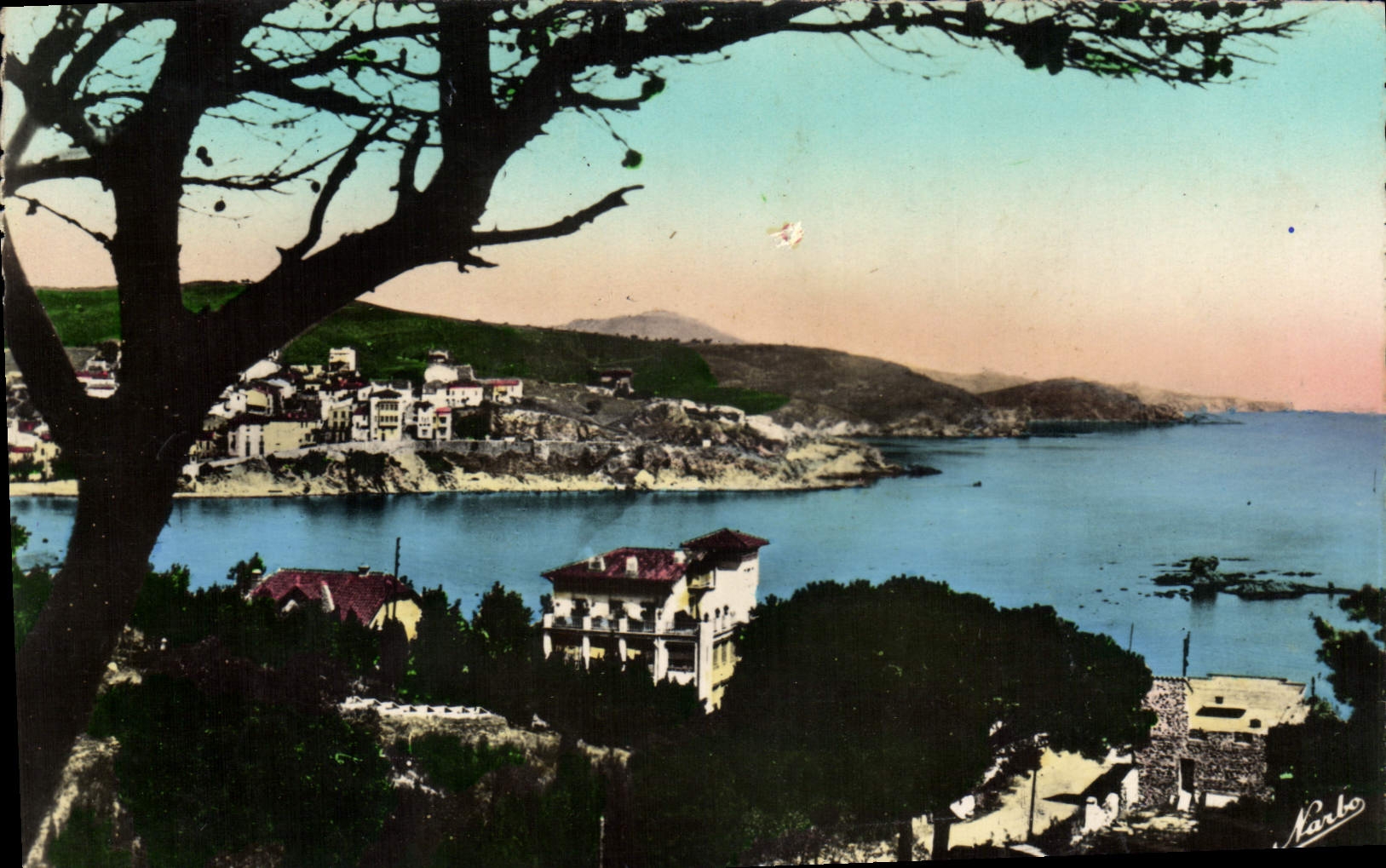 CPM Banyuls Sur Mer La Baie Au Fond Le Cap Bear