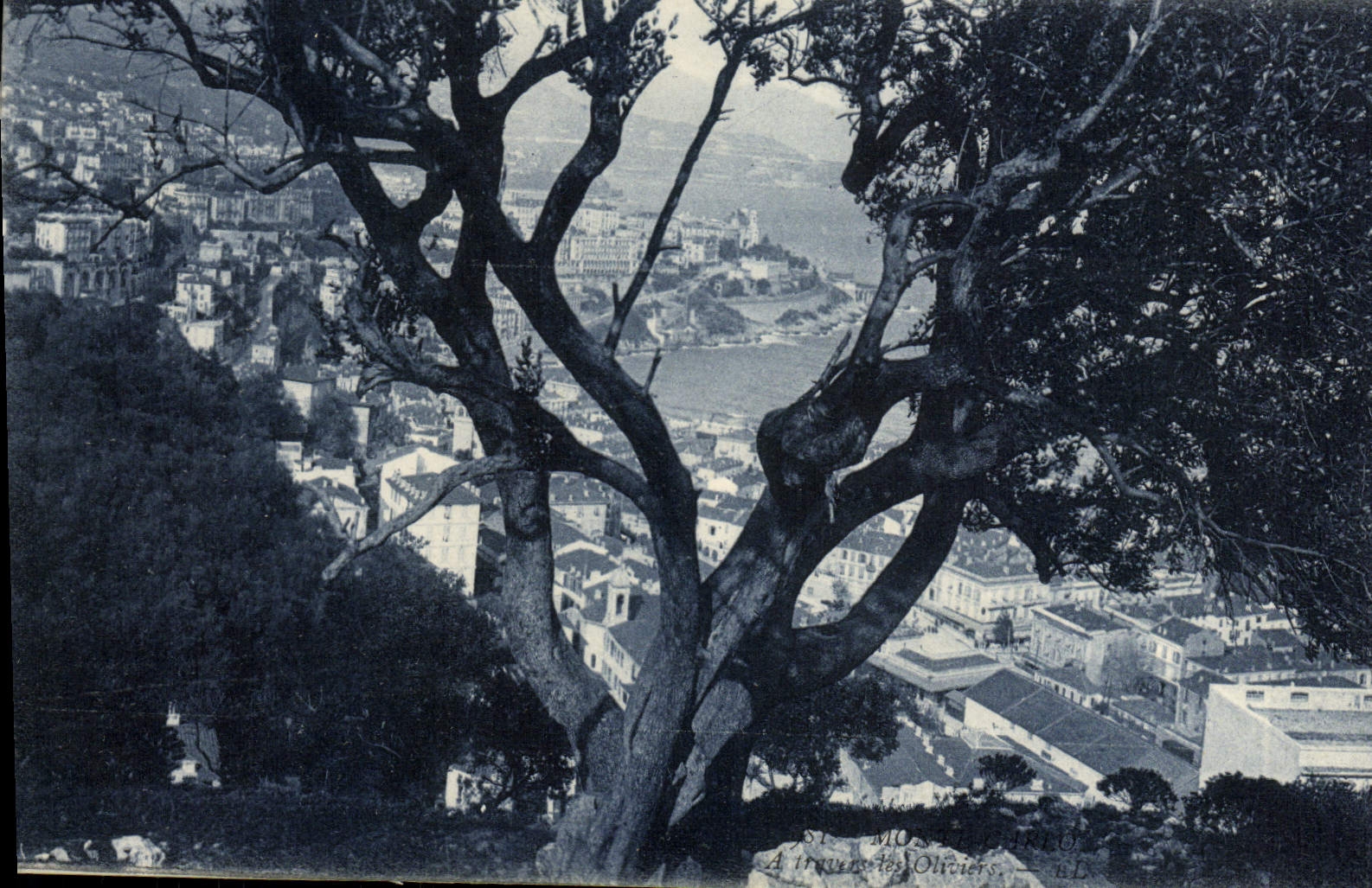 CPA Monte Carlo monaco