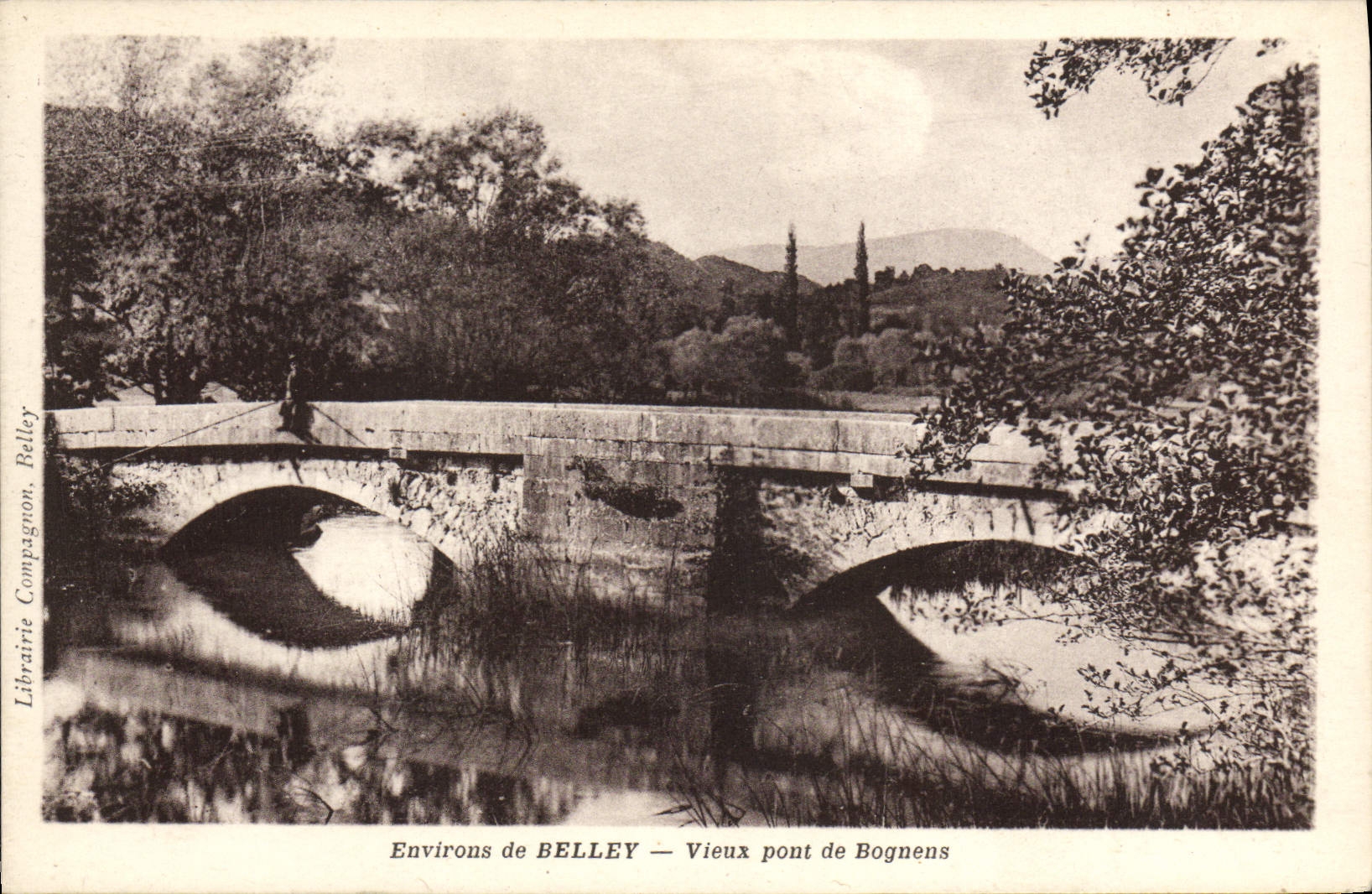 CPA Environs De Belley Vieux Pont De Bognens