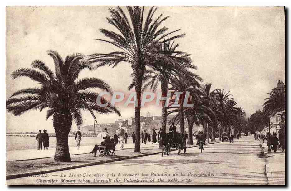 CPA Cannes Le Mont Chevalier pris a travers les palmiers de la promenade 