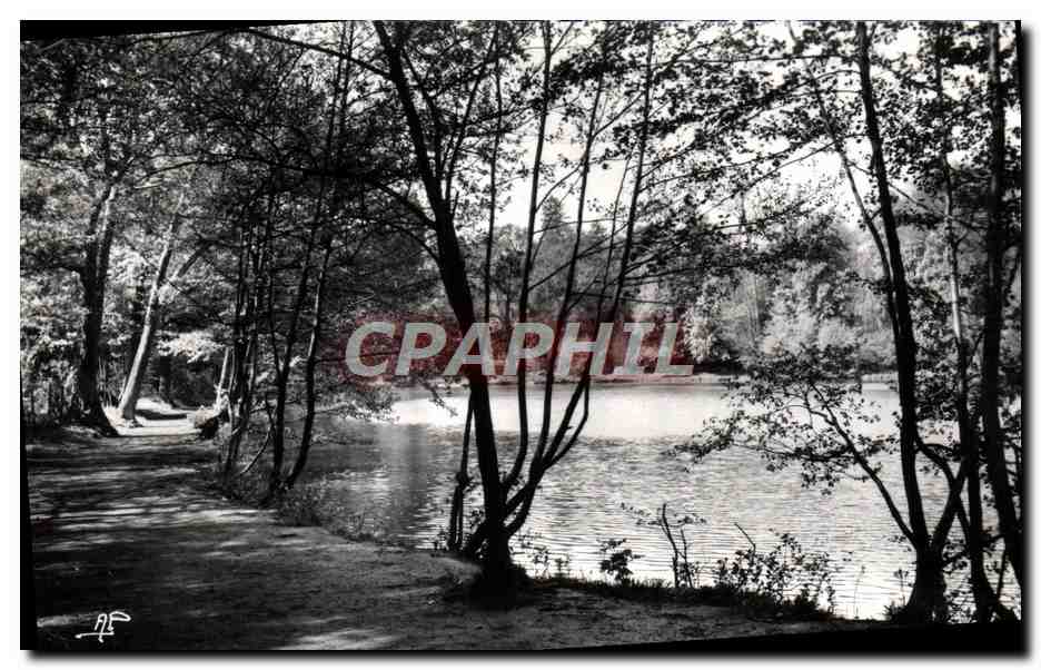 CPM Environs De Vaucresson Le Lac De Saint Cucufa