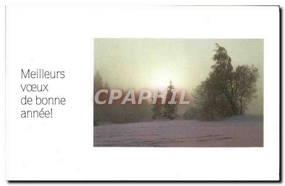 CPM Meilleurs Voeux De Bonne Annee