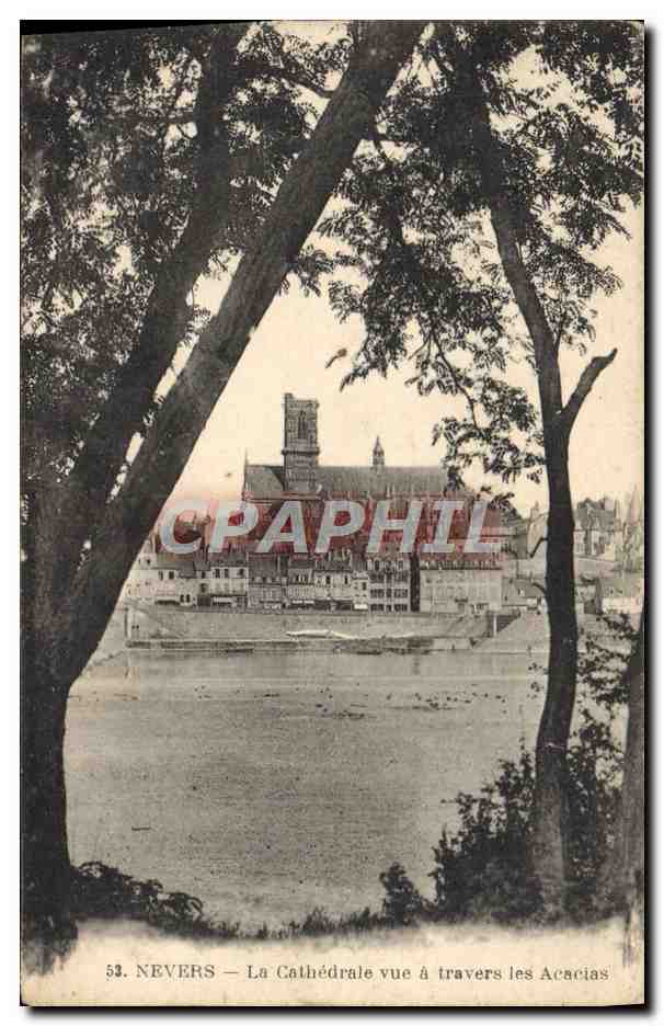 Nevers — La Cathédrale vue à travers les Acacias — CPAPHIL n°53
