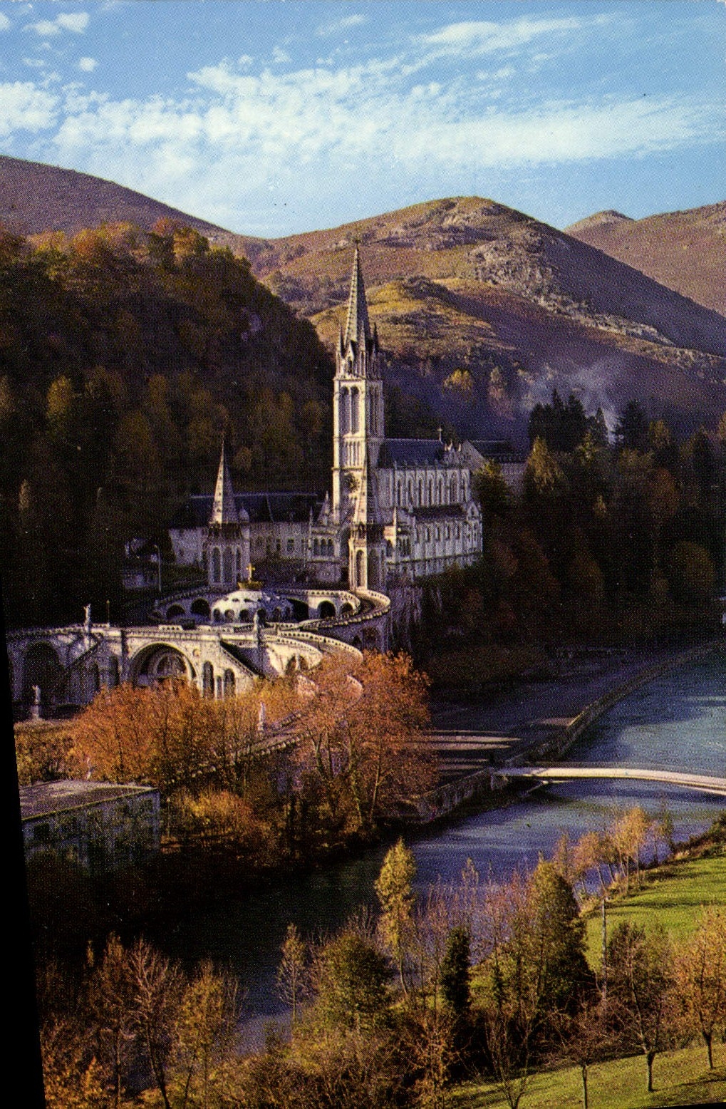 CPM Lourdes La Basilique et le Gave de Pau