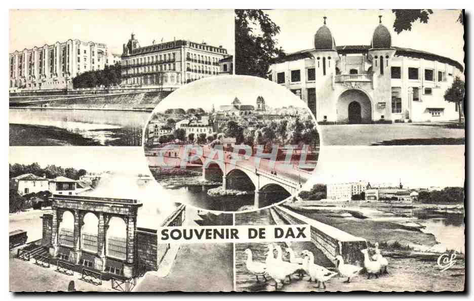 Dax — Souvenir de Dax — éditeur C.A.P. n°149