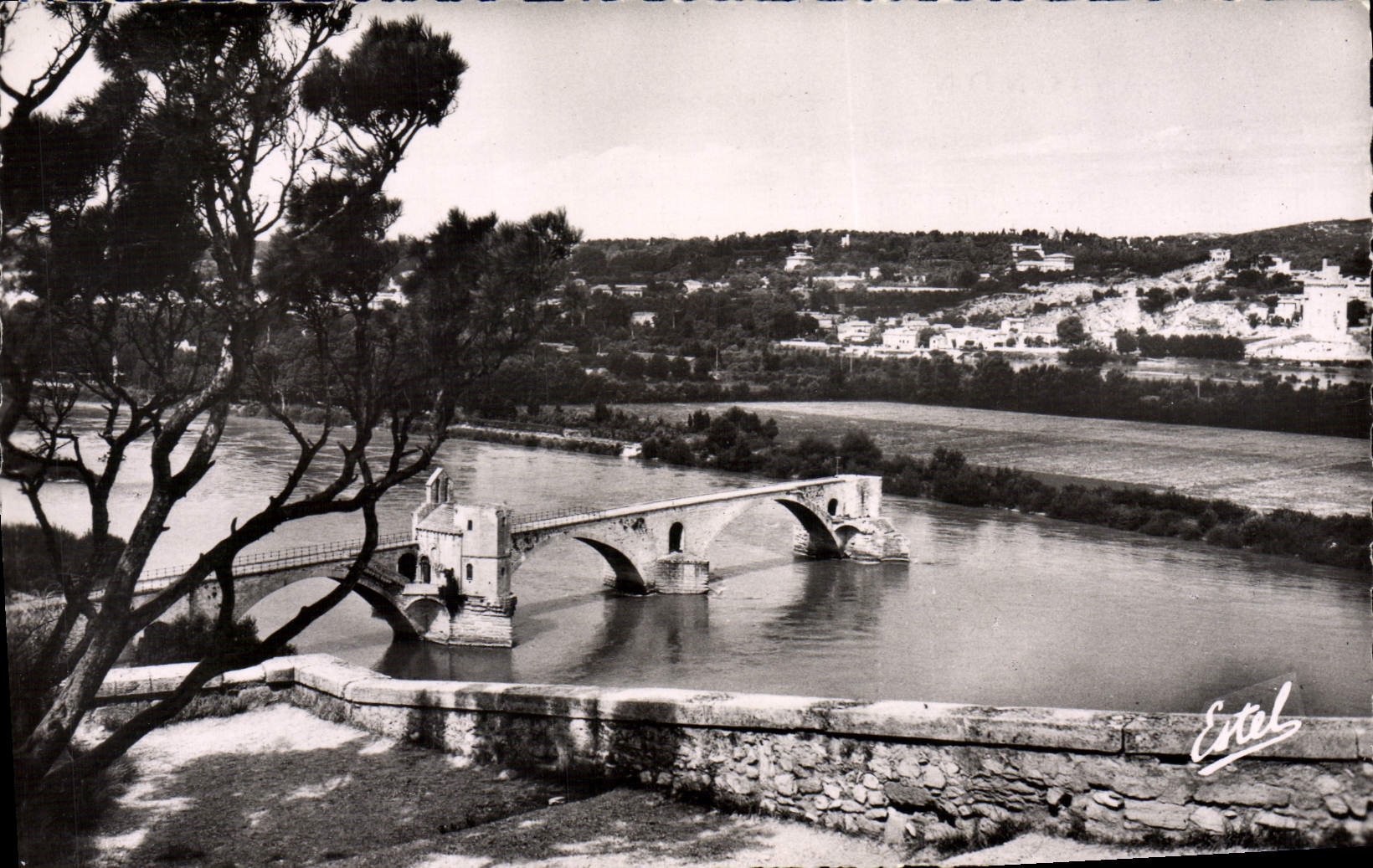 CPM Avignon Le Pont St Benezet Vu du Rocher des Doms
