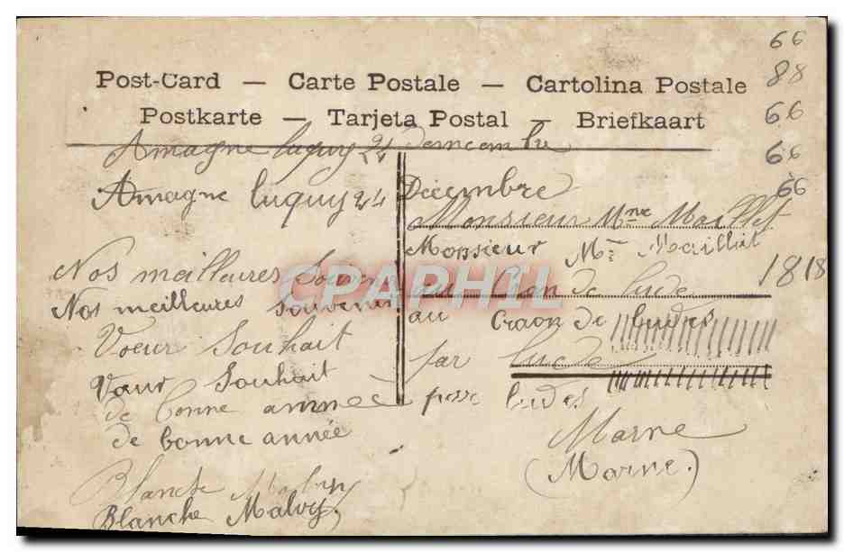 Jeune femme en robe colorée — jardin fleuri — éditeur anonyme, n° 4239 — Verso