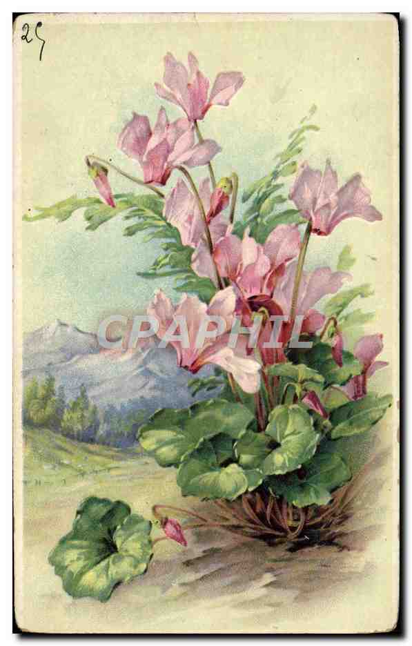 CPA Fantaisie Fleurs