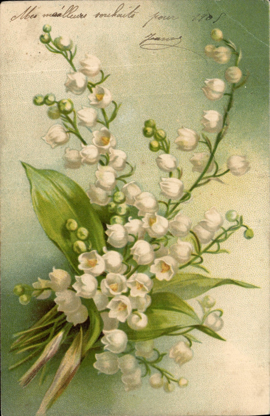 CPA Fantaisie Fleurs Muguet
