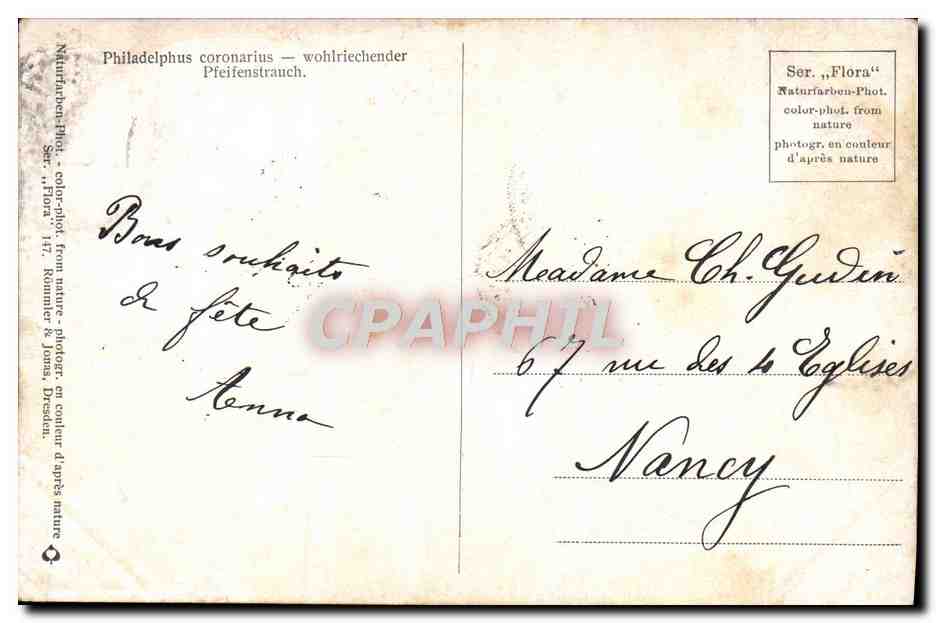 CPA Fantaisie Fleurs — Back