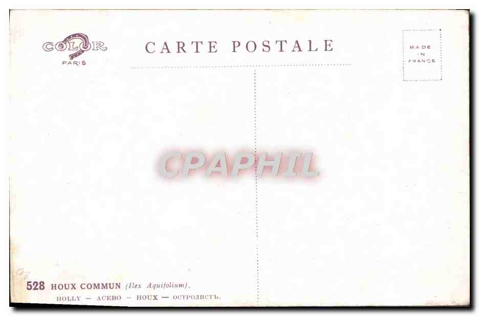 CPA Fantaisie Houx — Rückseite