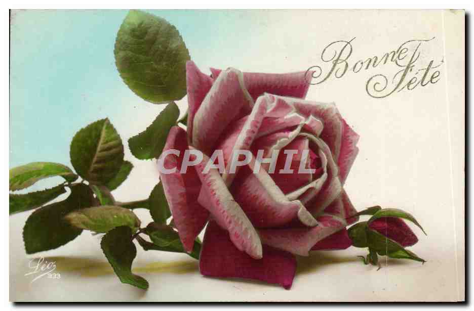 CPA Fantaisie Fleur Rose