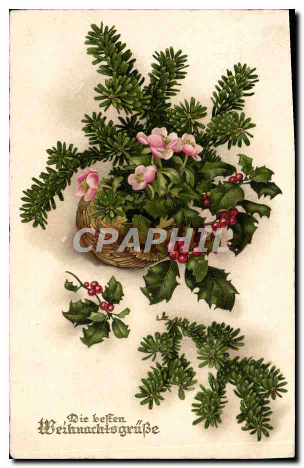 CPA Fantaisie Houx