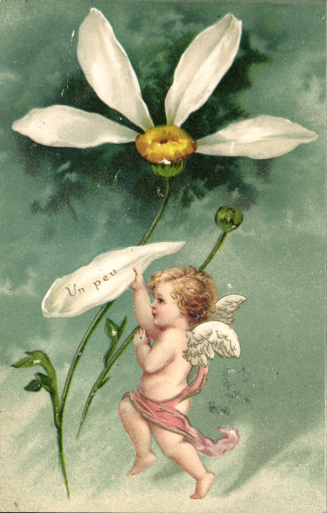 CPA Fantaisie Fleur Ange