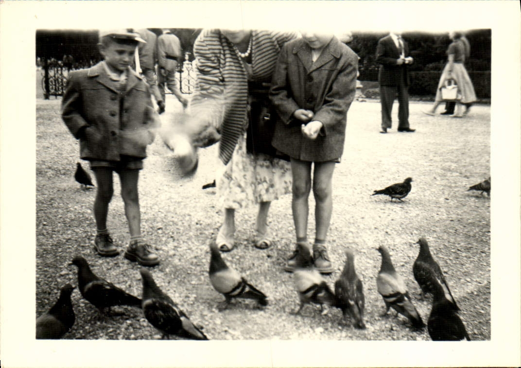 Photo Enfants Pigeons