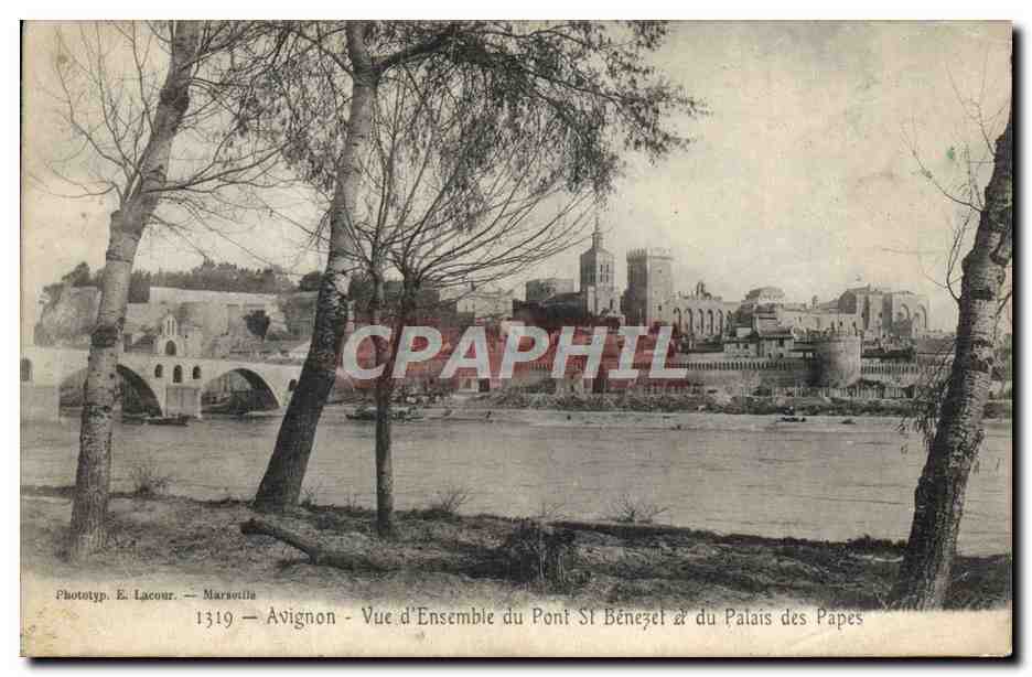 CPA Avignon Vue D'Ensemble Du Pont St Benezet et du palais des Papes