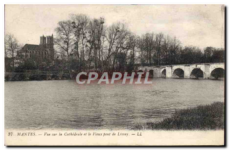 CPA Mantes Vue Sur la Cathedrale et le Vieux Pont de Linay