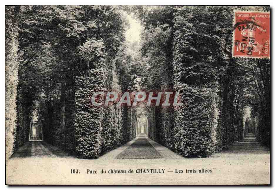 Parc du château de CHANTILLY — Les trois allées — Héliotypie A. Bourdier, Versailles, n°103