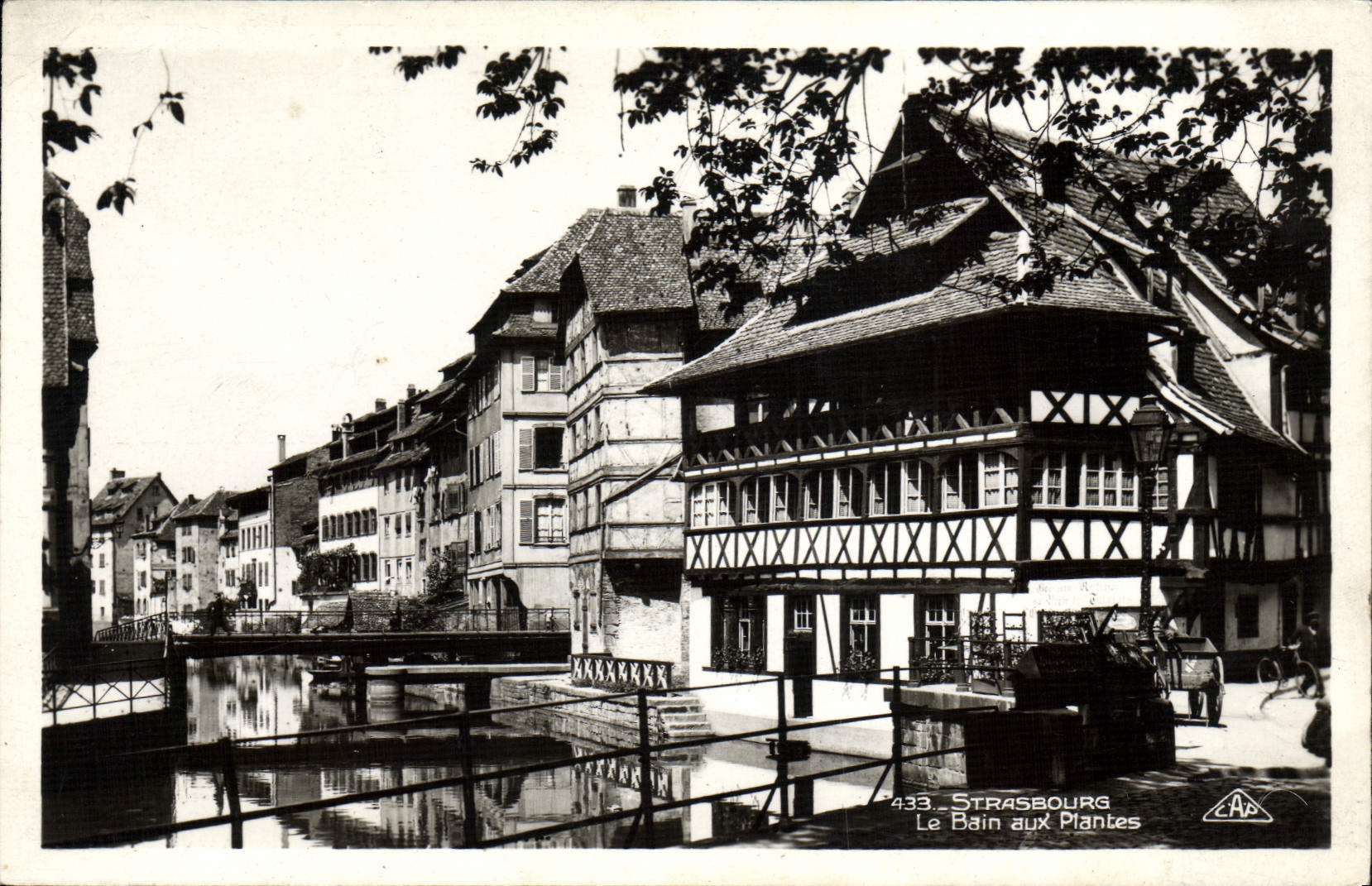 CPM Strasbourg Le bain aux plantes