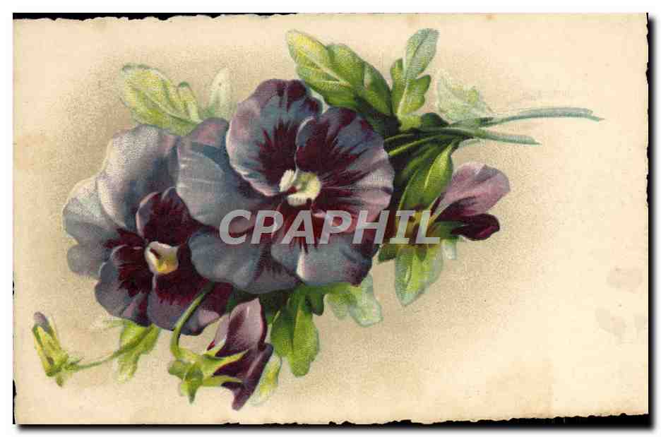 CPA Fantaisie Fleurs