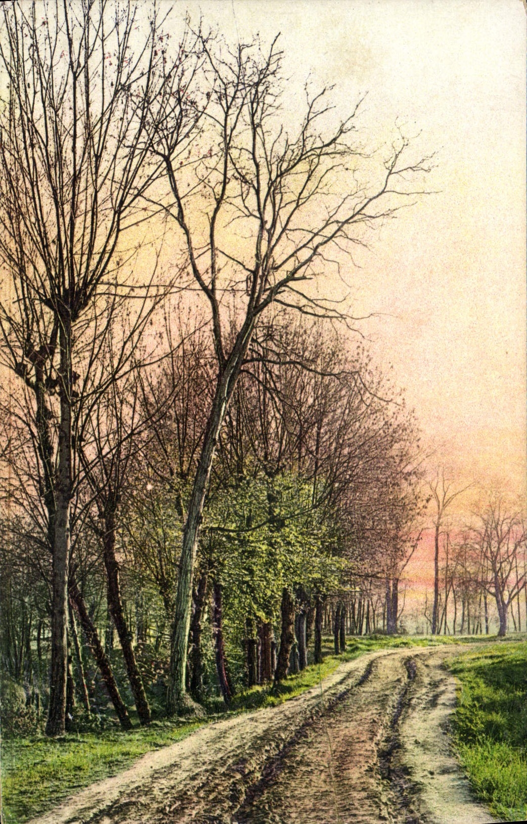 CPA Fantaisie Bosquet Arbres