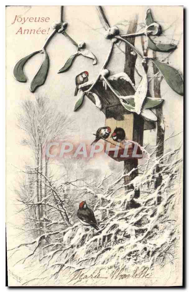 CPA Fantaisie Bonne annee Oiseaux