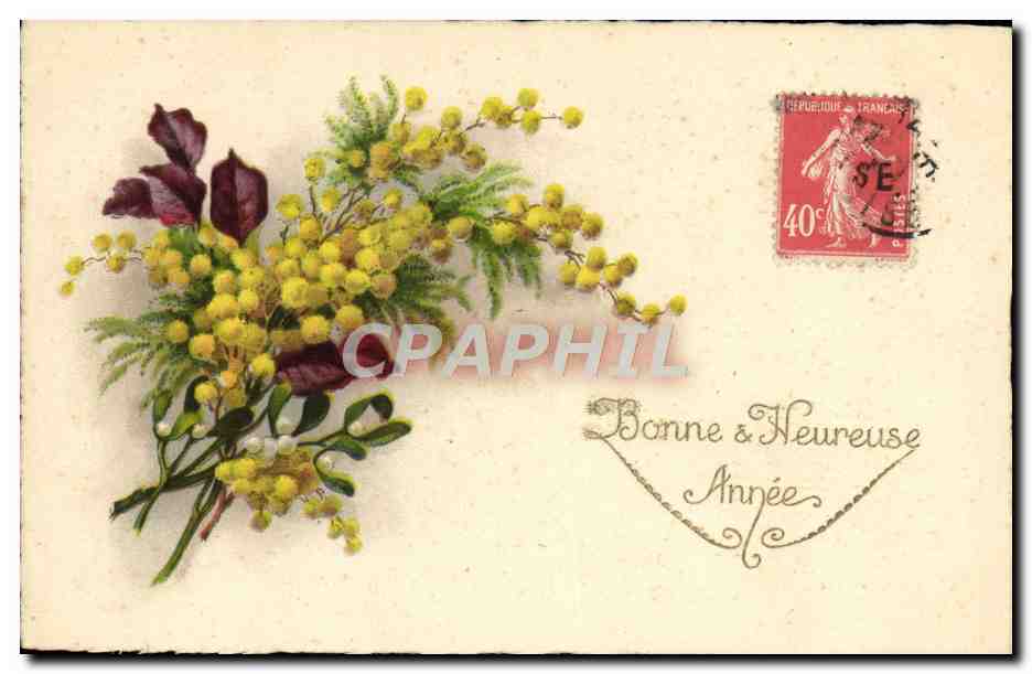 CPA Fantaisie Fleurs