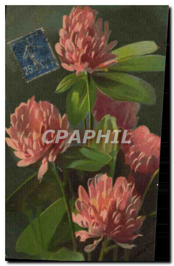 CPA Fantaisie Fleurs