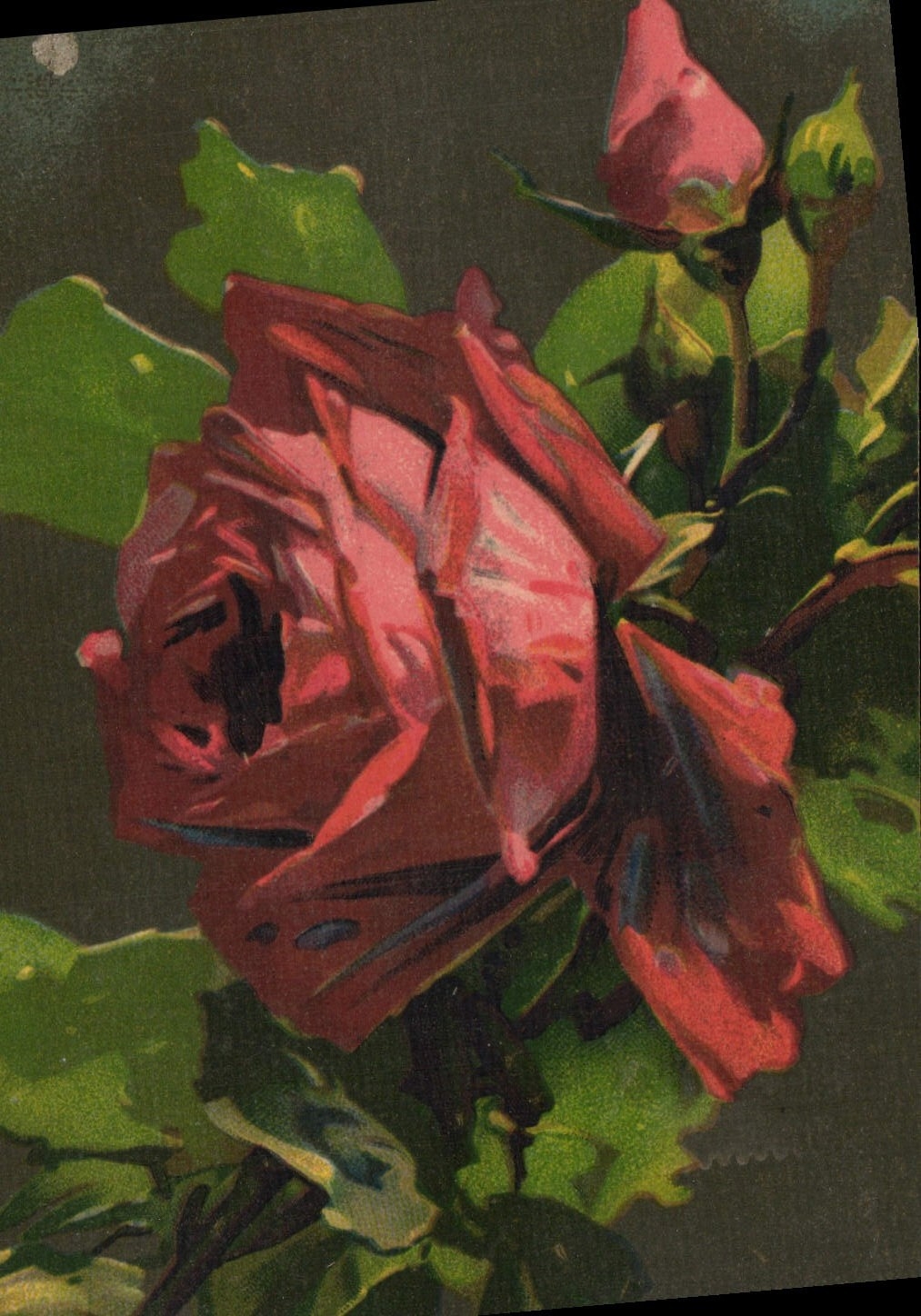 CPA Fantaisie Fleurs