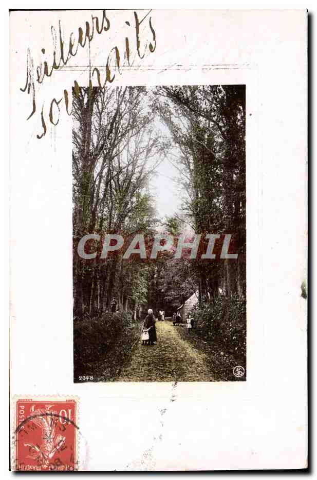 CPA Fantaisie Chemin Arbres 