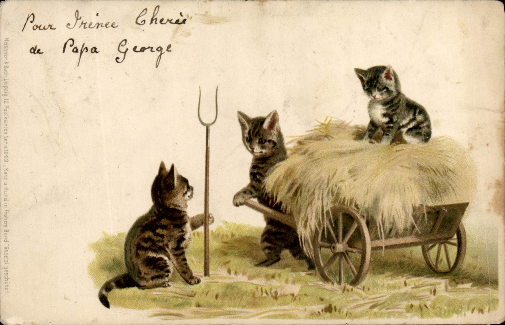 CPA Fantaisie Chat Chats Chaton 