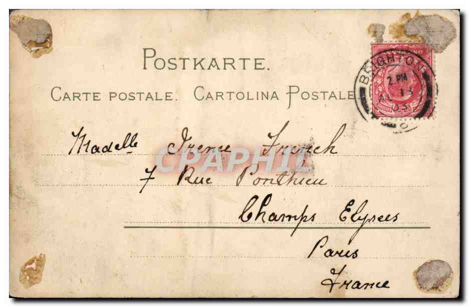 CPA Fantaisie Chat Chats Chaton  — Rückseite