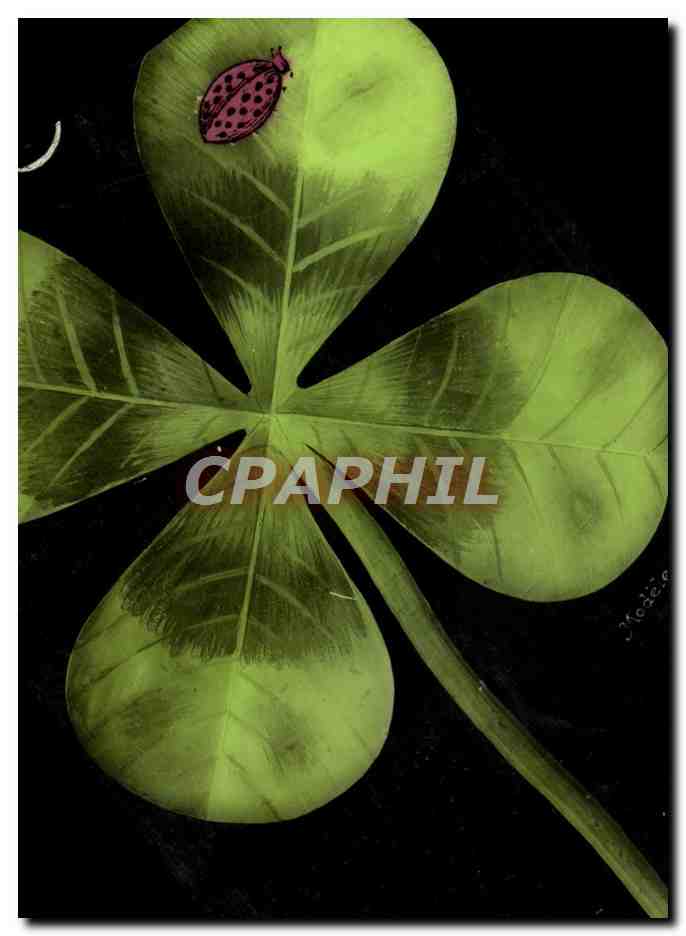 Fleur de trèfle à quatre feuilles — ladybug — éditeur inconnu