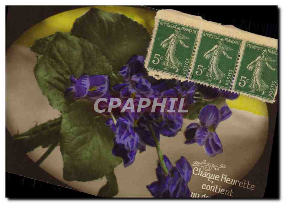 CPA Fantaisie Fleurs 