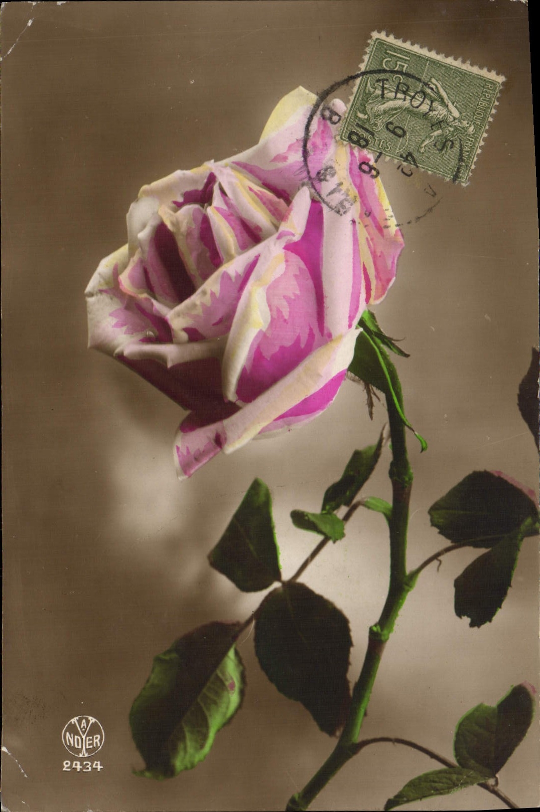 CPA Fantaisie Fleurs 