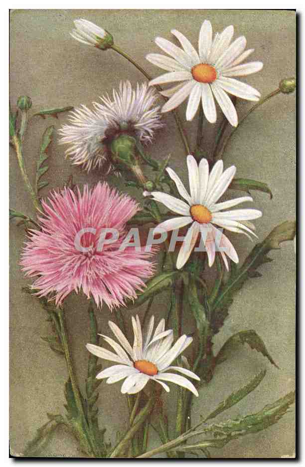 CPA Fantaisie Fleurs