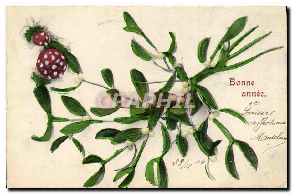CPA Fantaisie Fleurs Coccinelle 