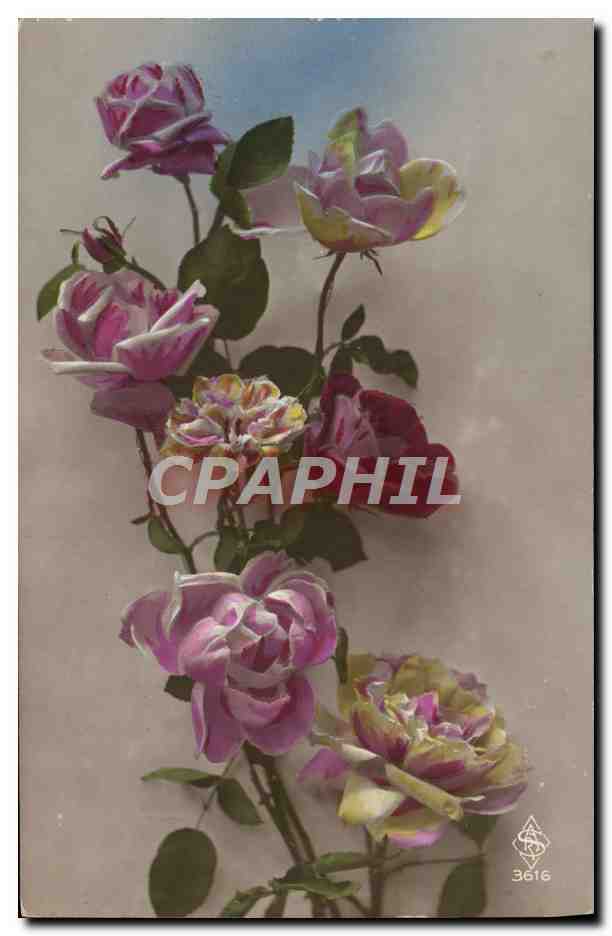 CPA Fantaisie Fleurs