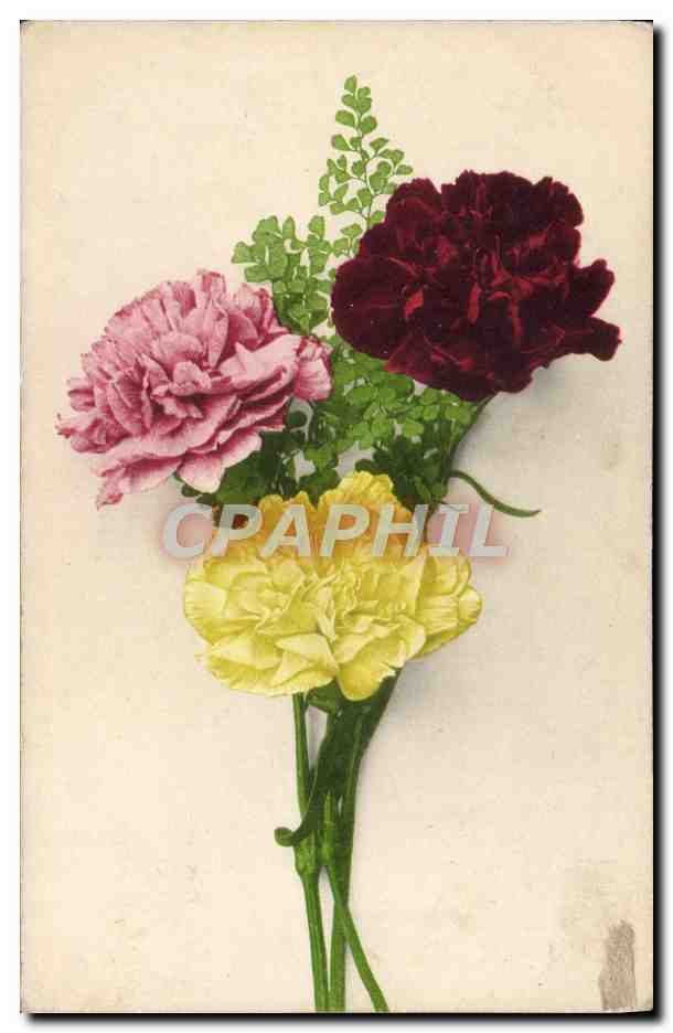 CPA Fantaisie Fleurs