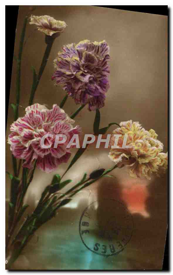 CPA Fantaisie Fleurs 