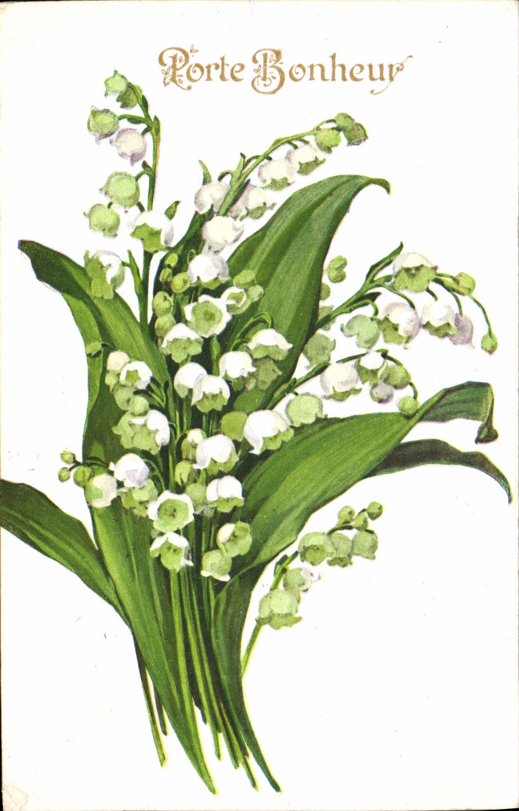 CPA Fantaisie Fleurs Muguet
