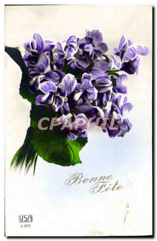 CPA Fantaisie Fleurs