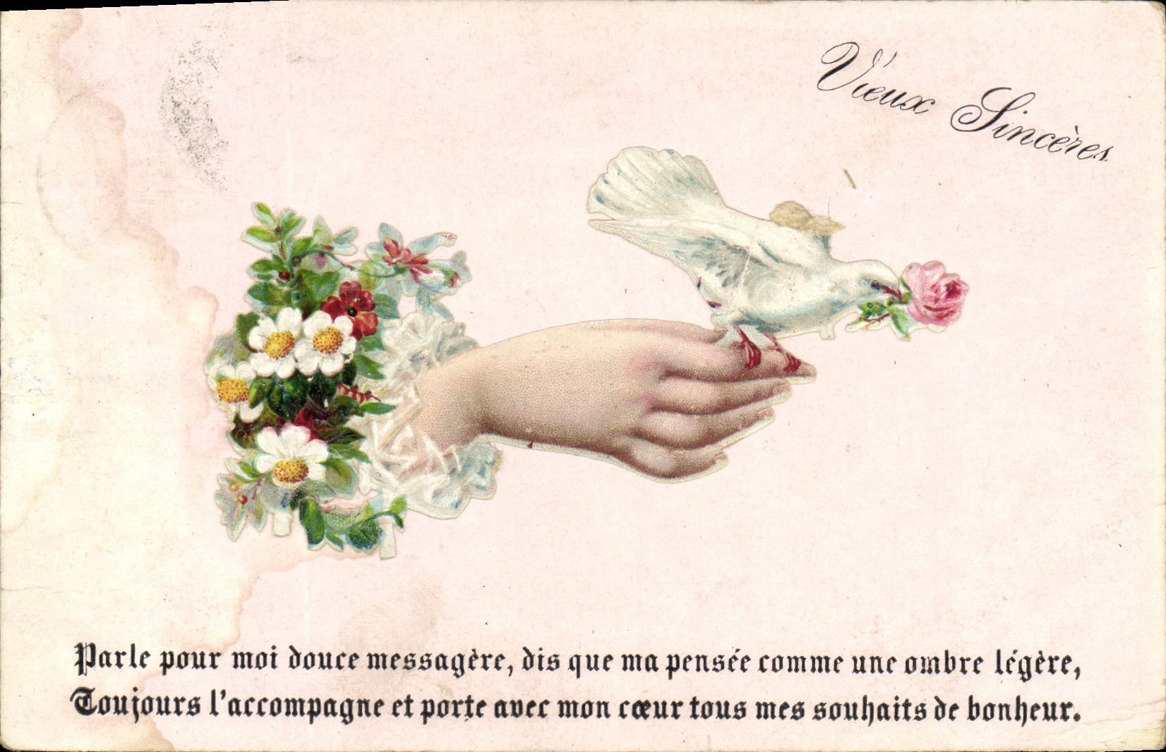 CPA Fantaisie Femme main Colombe