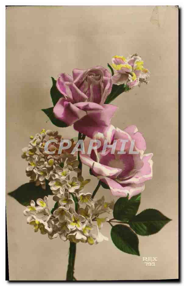 CPA Fantaisie Fleurs 