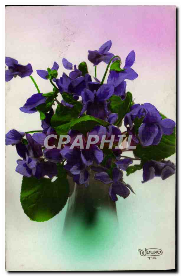 CPA Fantaisie Fleurs